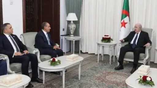 وزير الخارجية يبحث مع الرئيس الجزائري الجهود المبذولة لاحتواء التوتر الإقليمى