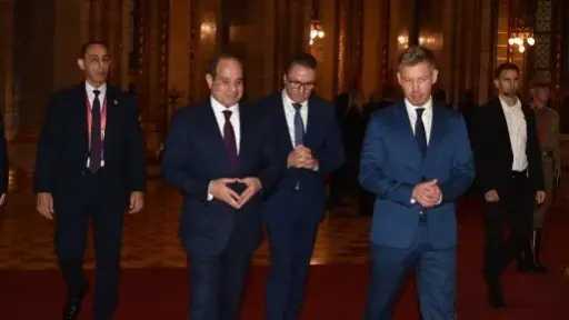 الرئيس السيسى يؤكد أهمية مواصلة الارتقاء بالعلاقات المصرية المجرية